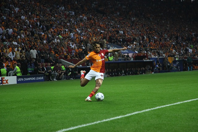 博洛尼亚 博洛尼亚