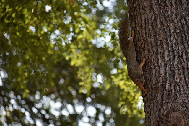 稳定梳理 稳定梳理