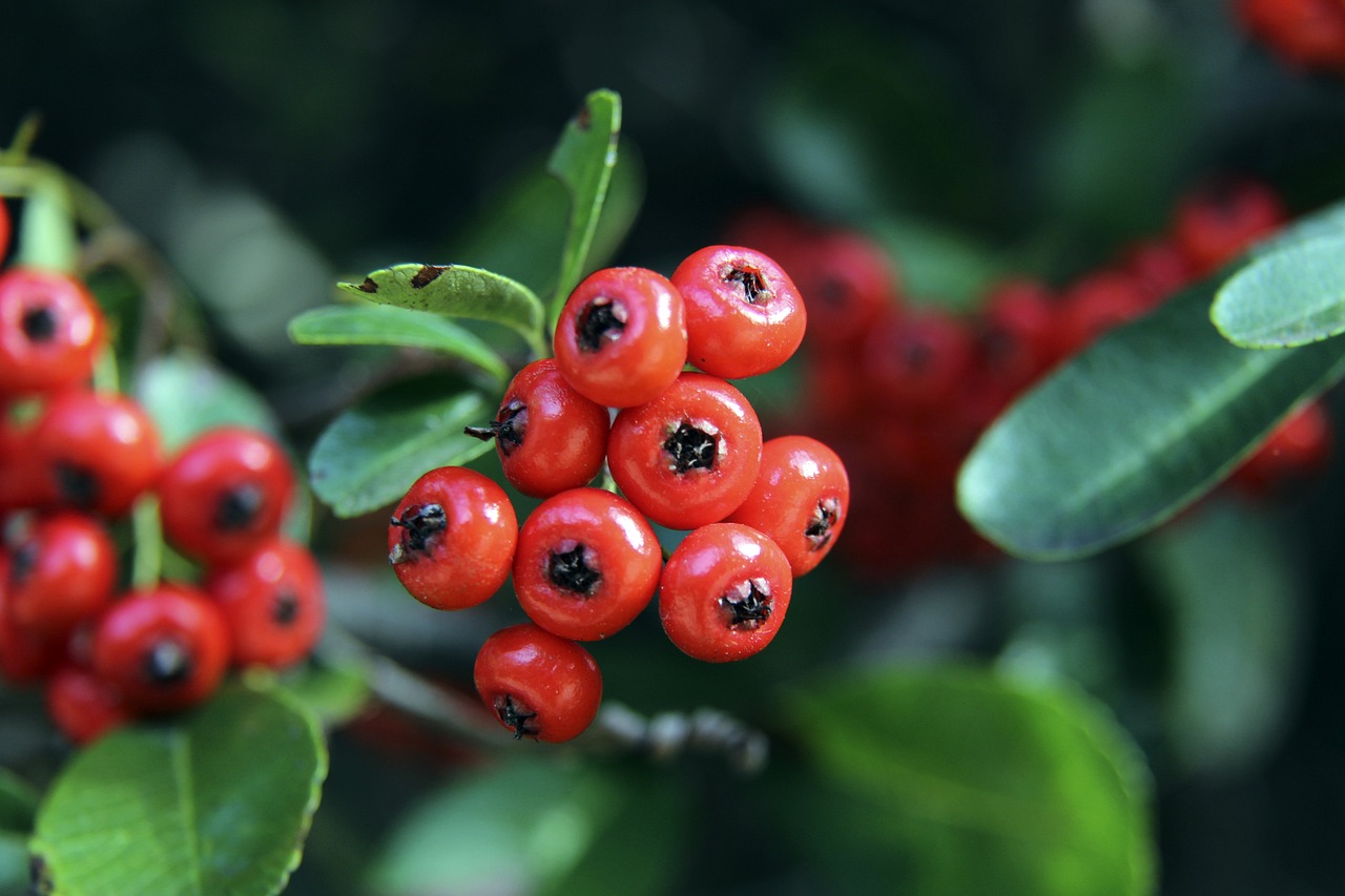 虽然他们整 虽然他们整