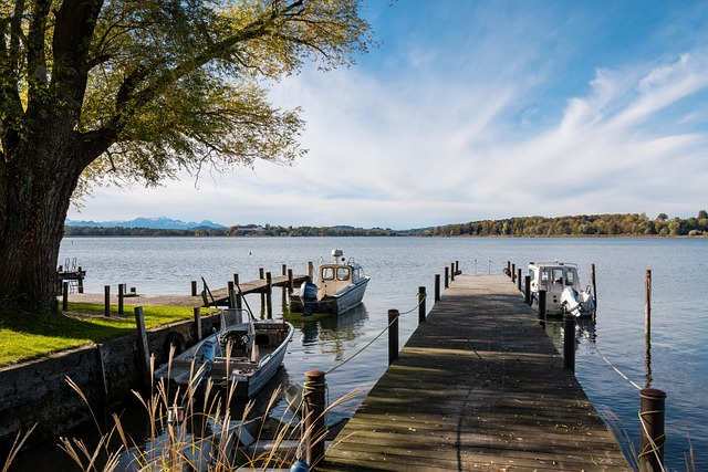 [CBA]常规赛3月23日：上海VS辽宁.