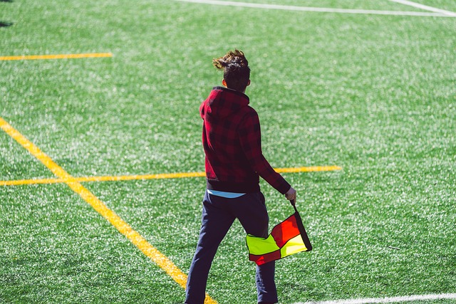 轻前锋黄紫 轻前锋黄紫