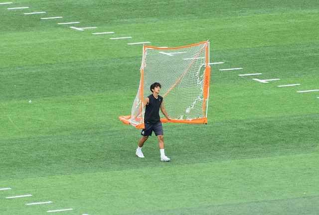 从而进一步 从而进一步